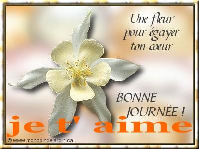 c est une fleur